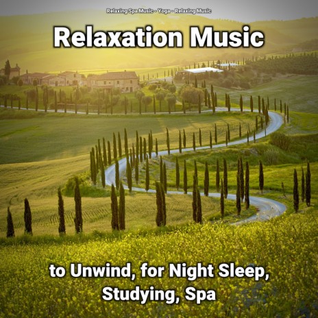 Therapeutic Background Music to Chill Out ft. Yoga & Relaxing Music