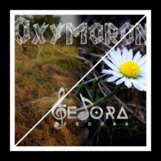 Oxymoron lyrics | Boomplay Music