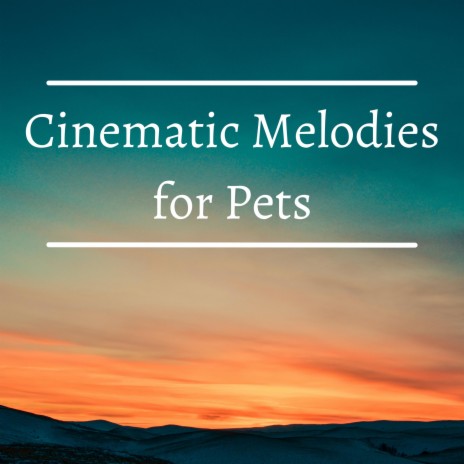 Calming Melodies For Pets