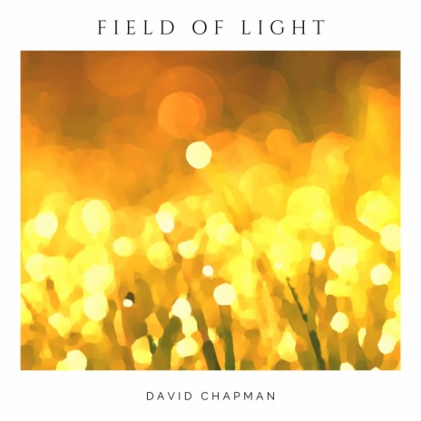 Field of Light