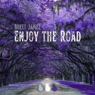 Enjoy the Road