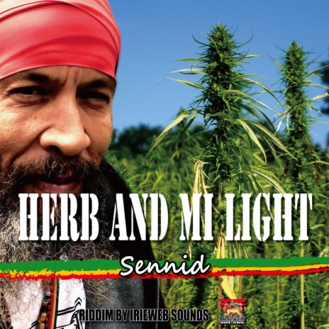 HERB AND MI LIGHT ft. irieweb sounds | Boomplay Music