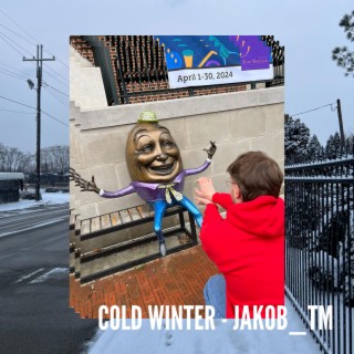 COLD WINTER | Boomplay Music