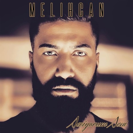 Seviyorum Seni | Boomplay Music