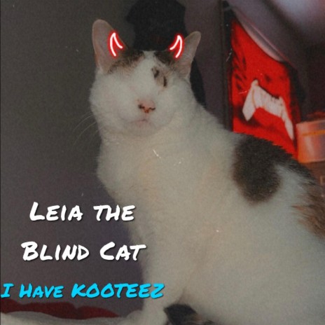 Leia the Blind Cat | Boomplay Music