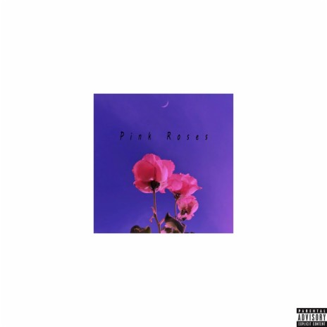 Pink Roses | Boomplay Music