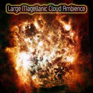 Large Magellanic Cloud Ambience