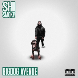 Bigdog Avenue