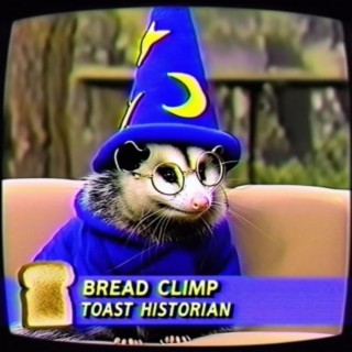 Toast Historian