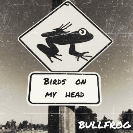 Birds on my head