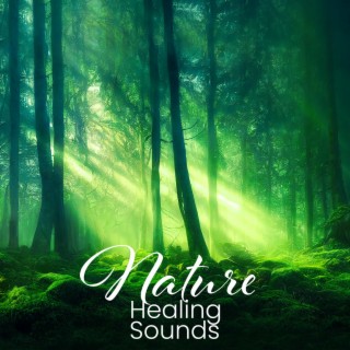 Calming Nature Sounds for Relaxation, Meditation, Deep Sleep with Music:  Stress Relief, Soothing New Age Sounds, Music to Calm Down, Singing Birds,  Ocean Waves, Forest Sounds, Relaxing Rain, Music for Healing 