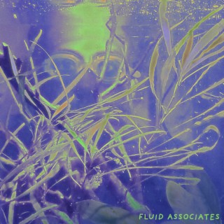 Fluid Associates