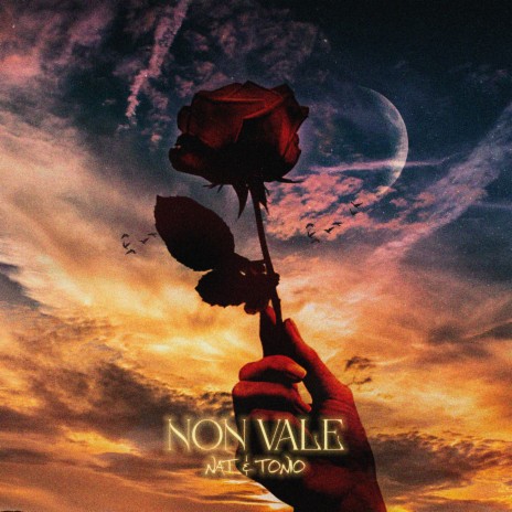 NON VALE ft. Tonio | Boomplay Music