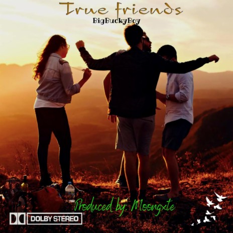 True Friends | Boomplay Music