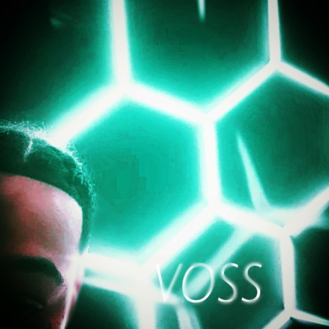 VOSS