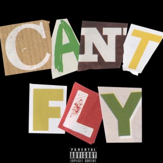 c a n t . f l y