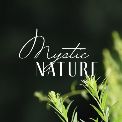 Mystic Nature | Boomplay Music
