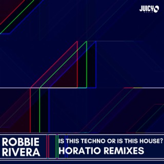 Is This Techno or Is This House? (Horatio Remixes)