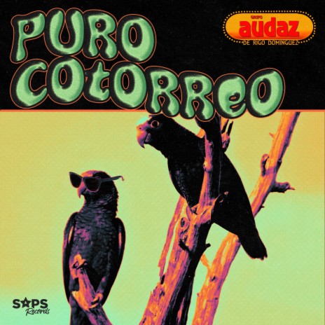 Puro Cotorreo | Boomplay Music