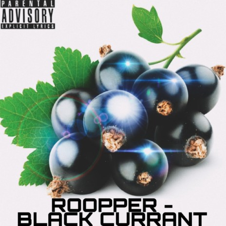 Black Currant | Boomplay Music