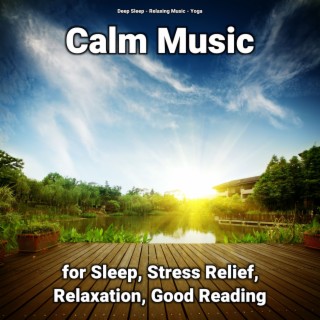 Calm Music for Sleep, Stress Relief, Relaxation, Good Reading