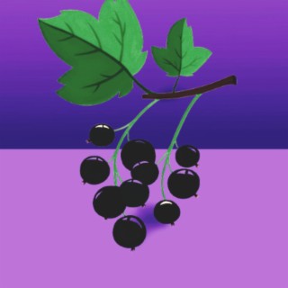 Blackcurrant