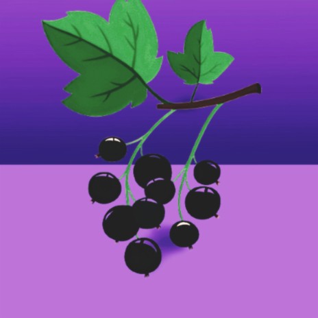 Blackcurrant | Boomplay Music