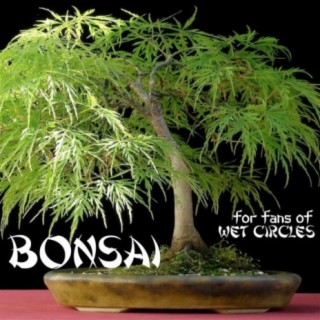 Bonsai