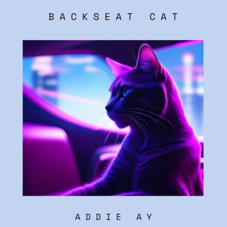 Backseat Cat | Boomplay Music