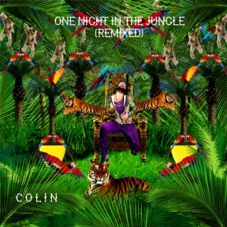 One Night In The Jungle (Remixed)