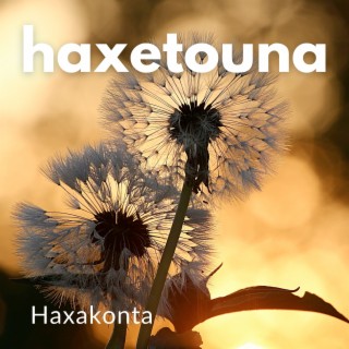Haxakonta