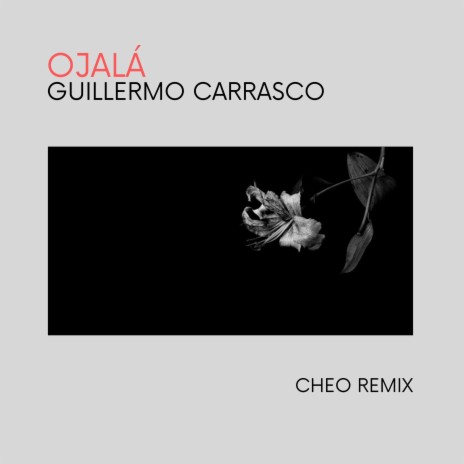 Ojalá (Cheo Remix) ft. Cheo