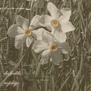 daffodils lyrics | Boomplay Music