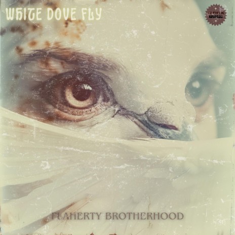 White Dove Fly | Boomplay Music