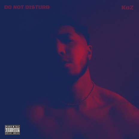 Do Not Disturb | Boomplay Music