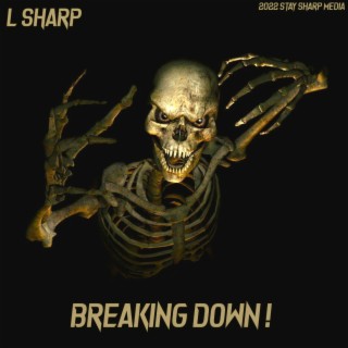 Breaking Down lyrics | Boomplay Music