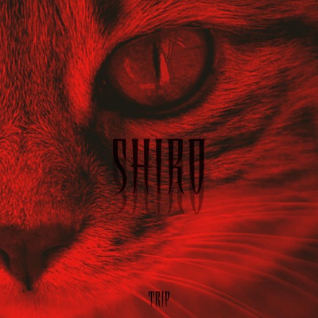 SHIRO | Boomplay Music