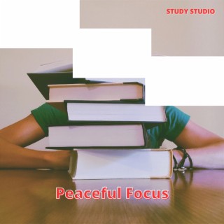 Peaceful Focus: Soothing Study Environment