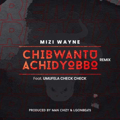 Chibwantu Achidyobbo remix (feat. Umufela check check) (Remix) | Boomplay Music