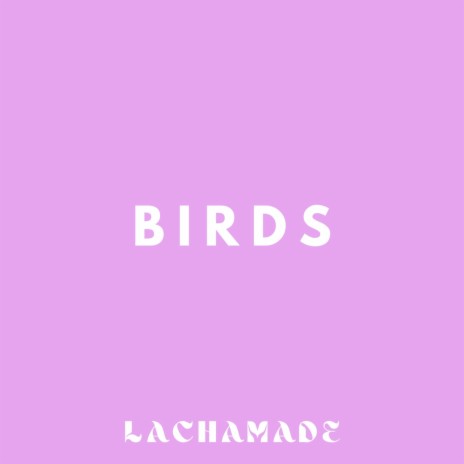 Birds | Boomplay Music