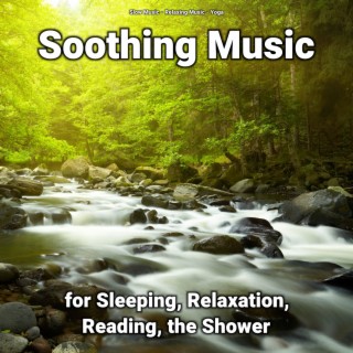 Soothing Music for Sleeping, Relaxation, Reading, the Shower