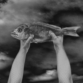 Fish Out Of Water/Danger! lyrics | Boomplay Music