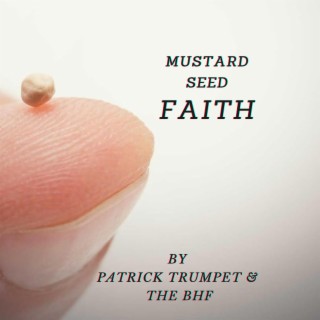 Mustard Seed Faith lyrics | Boomplay Music