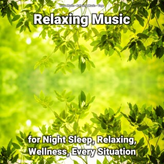 Relaxing Music for Night Sleep, Relaxing, Wellness, Every Situation