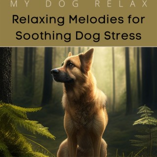 Relaxing Melodies for Soothing Dog Stress