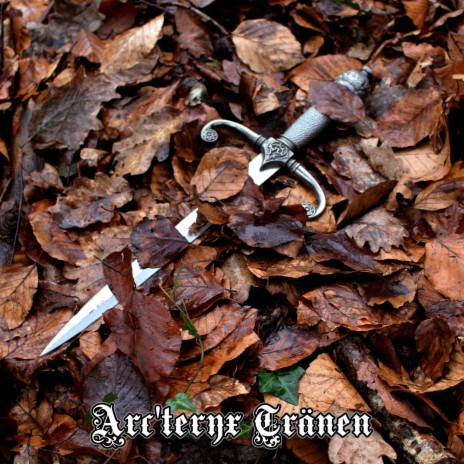Arc'teryx Tränen ft. Cris ferey & Gwyndolin