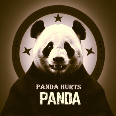 noir panda | Boomplay Music