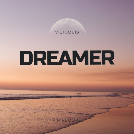 DREAMER (Instrumental) ft. V.N Record | Boomplay Music