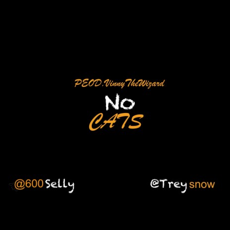 NO CATS | Boomplay Music