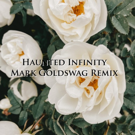 Haunted Infinity (Mark Goldswag Remix)